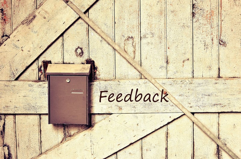 Feedback Seeking